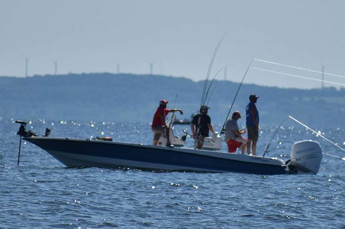 Team member Mike Lewis